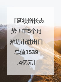 延续增长态势！前5个月潍坊市进出口总值1539.4亿元