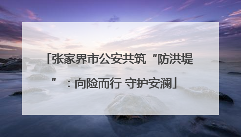 张家界市公安共筑“防洪堤”：向险而行 守护安澜