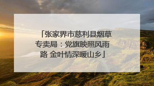 张家界市慈利县烟草专卖局：党旗映照风雨路 金叶情深暖山乡