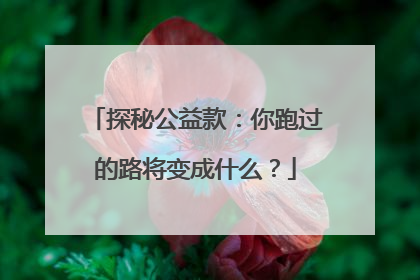 探秘公益款：你跑过的路将变成什么？
