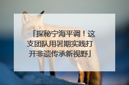 探秘宁海平调！这支团队用暑期实践打开非遗传承新视野