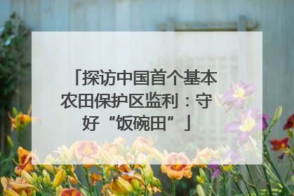 探访中国首个基本农田保护区监利：守好“饭碗田”