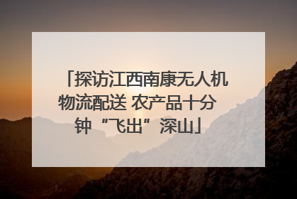 探访江西南康无人机物流配送 农产品十分钟“飞出”深山