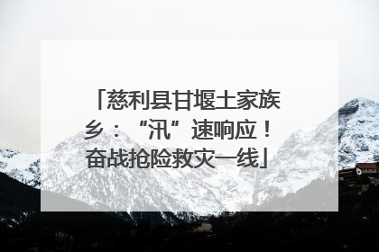 慈利县甘堰土家族乡：“汛”速响应！奋战抢险救灾一线