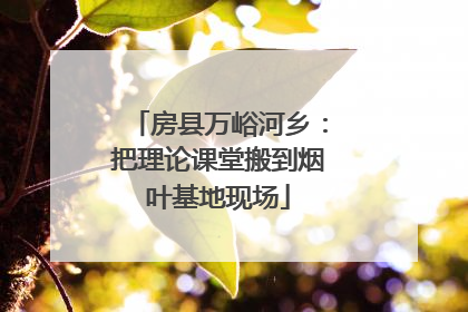 房县万峪河乡：把理论课堂搬到烟叶基地现场