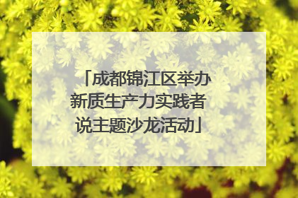 成都锦江区举办新质生产力实践者说主题沙龙活动