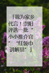 我为家乡代言!崇阳评选一批“小小推介官”“红领巾讲解员”