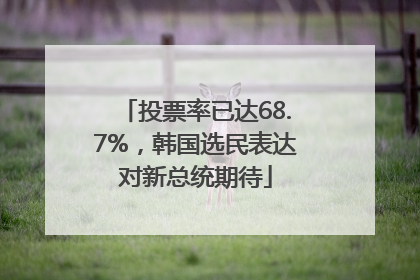 投票率已达68.7%，韩国选民表达对新总统期待