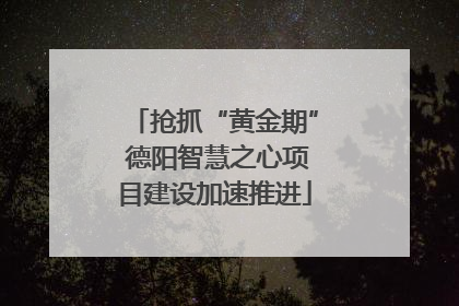 抢抓“黄金期” 德阳智慧之心项目建设加速推进