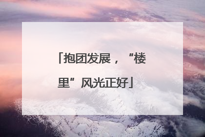 抱团发展，“楼里”风光正好