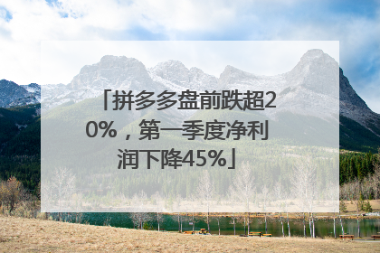 拼多多盘前跌超20%，第一季度净利润下降45%