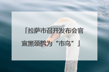 拉萨市召开发布会官宣黑颈鹤为“市鸟”