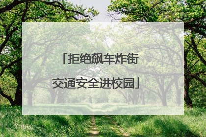 拒绝飙车炸街 交通安全进校园