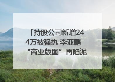 持股公司新增244万被强执 李亚鹏“商业版图”再陷泥潭？｜科技观察