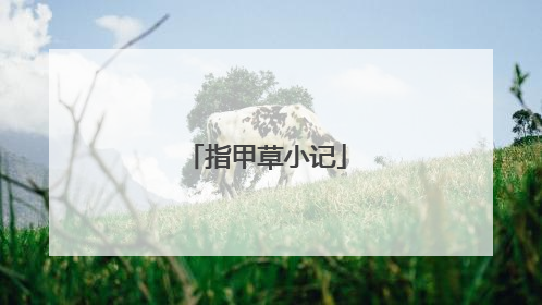 指甲草小记