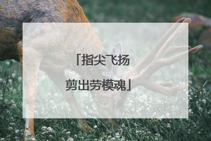 指尖飞扬 剪出劳模魂