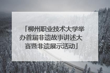 柳州职业技术大学举办首届非遗故事讲述大赛暨非遗展示活动