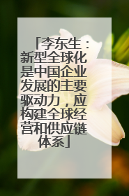 李东生：新型全球化是中国企业发展的主要驱动力，应构建全球经营和供应链体系