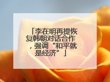 李在明再提恢复韩朝对话合作，强调“和平就是经济”
