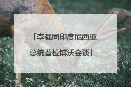 李强同印度尼西亚总统普拉博沃会谈
