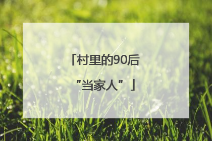 村里的90后“当家人”