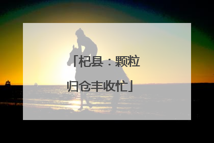 杞县：颗粒归仓丰收忙
