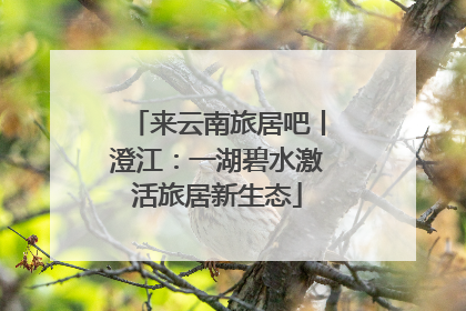 来云南旅居吧丨澄江：一湖碧水激活旅居新生态