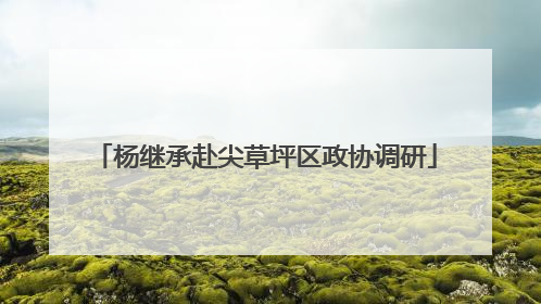 杨继承赴尖草坪区政协调研
