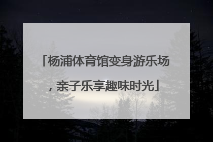 杨浦体育馆变身游乐场，亲子乐享趣味时光