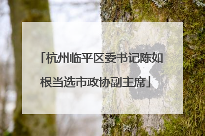 杭州临平区委书记陈如根当选市政协副主席