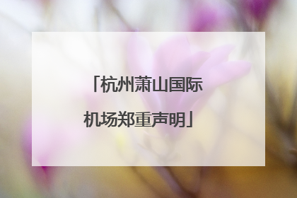杭州萧山国际机场郑重声明
