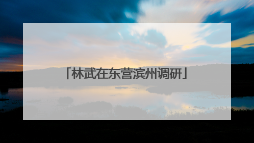 林武在东营滨州调研