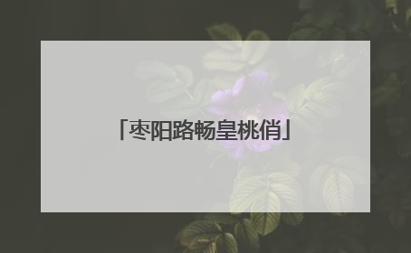 枣阳路畅皇桃俏
