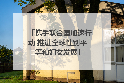携手联合国加速行动 推进全球性别平等和妇女发展