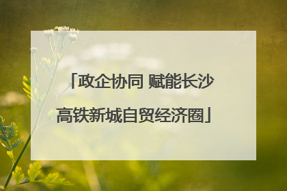 政企协同 赋能长沙高铁新城自贸经济圈