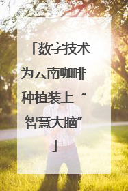 数字技术为云南咖啡种植装上“智慧大脑”