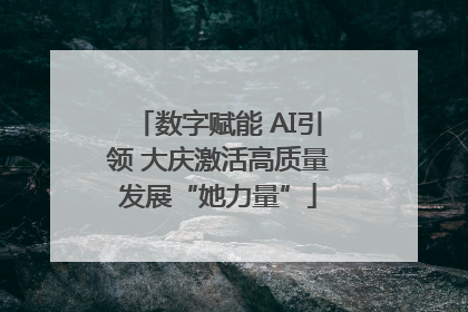 数字赋能 AI引领 大庆激活高质量发展“她力量”