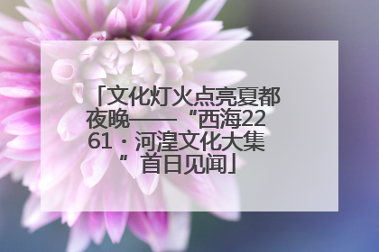 文化灯火点亮夏都夜晚——“西海2261・河湟文化大集”首日见闻