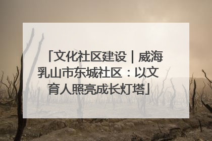 文化社区建设｜威海乳山市东城社区：以文育人照亮成长灯塔