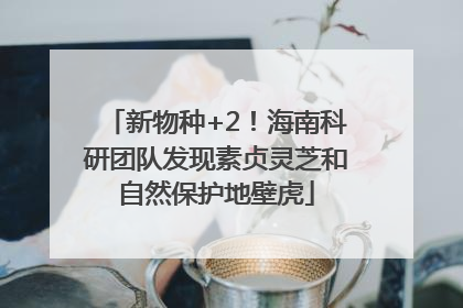 新物种+2！海南科研团队发现素贞灵芝和自然保护地壁虎