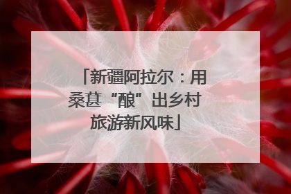 新疆阿拉尔：用桑葚“酿”出乡村旅游新风味