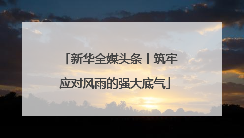 新华全媒头条丨筑牢应对风雨的强大底气