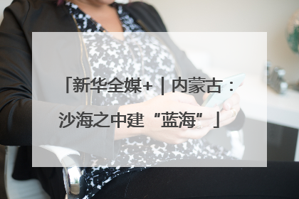 新华全媒+｜内蒙古：沙海之中建“蓝海”