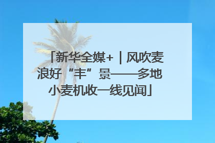 新华全媒+｜风吹麦浪好“丰”景——多地小麦机收一线见闻