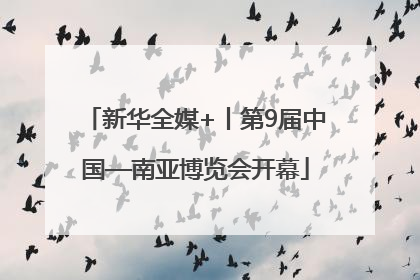 新华全媒+丨第9届中国—南亚博览会开幕