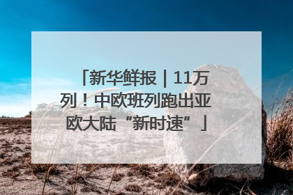 新华鲜报｜11万列！中欧班列跑出亚欧大陆“新时速”