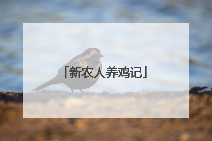 新农人养鸡记
