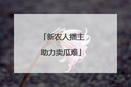 新农人播主 助力卖瓜难