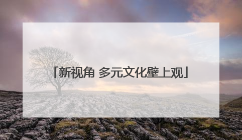 新视角 多元文化壁上观
