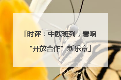 时评：中欧班列，奏响“开放合作”新乐章